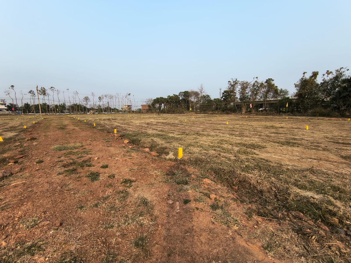 Wide view of the demarcated plots and internal roads at Ayan Home Gardens